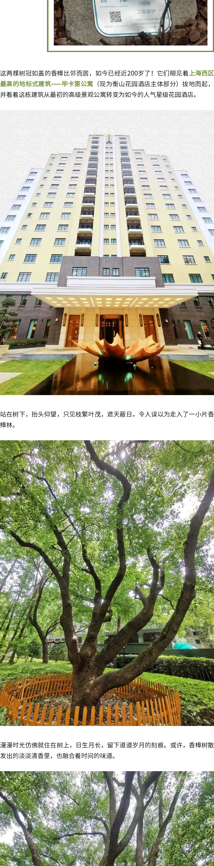 20241108_03.gif