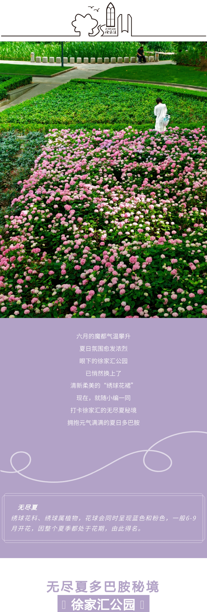 20260610_01.jpg